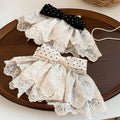 Polka Dot Bow Embroidered White Lace Spring Hair Clips view 2
