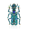 Aqua Beetle