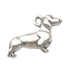 Gray Dog 3