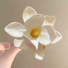 White Plumeria