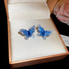 Blue Butterfly