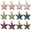 Assorted 12-Pack 6