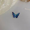 Small Blue Butterfly
