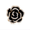 Gold Camellia