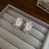 Silver Burst