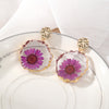Purple Daisy