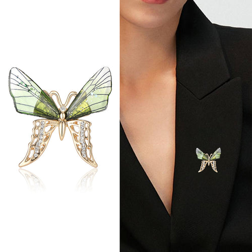 A butterfly with translucent upper wings and crystal lower wings shown in a styled display.