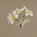 White Fabric Lily Green Butterfly Duckbill Hair Clip Single view 6