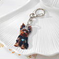 Acrylic Animal Photo Keychains Lobster Clasp 7 Cute Styles view 9