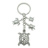 Silver Turtle ER621