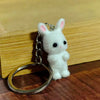 White Bunny