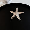 Silver Star Brooch