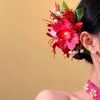 Red Magenta Orchid