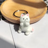 Sitting Paws In