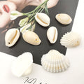 Yellow Seashell Shell Charms with 4 Listed Options view 2