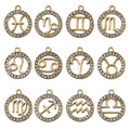 Alloy Metallic Zodiac Metal Charms with 14 Listed Options view 5