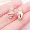 Yellow Seashell 7