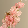 Soft Pink