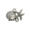 Gray Starfish 1