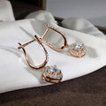 Round Clear Stone Hoop Drop Earrings in Two Tones Polished Metal Jewelry view 2
