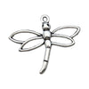 Gray Dragonfly 5