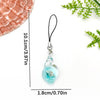 Teal Conch