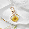 Yellow Daisy