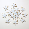 White Starfish