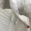 Silver Fish