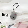 Large Gray Cat Head