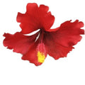 Fabric Hibiscus Flower Hair Pins Pink Red Yellow Styles view 5