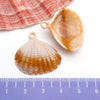 Orange Shell 1