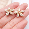 Brown Starfish 1