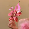 Pink Lily