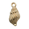 Yellow Seashell
