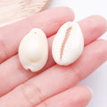 Metallic Seashell Shell Charms with 20 Listed Options view 9