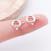 Silver Clasp 2