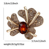 Brown Iris