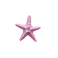Starfish Duckbill Hair Clips Textured Resin 2 Colors view 5