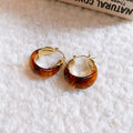 Translucent Resin U Shaped Gold Tone Hoop Earrings view 8