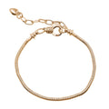 Extender Chain Metallic Adjustable Bracelet Metal Charms with 12 Listed Options view 9