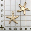 White Starfish