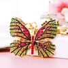 Green-Fuchsia Colorful-Butterfly
