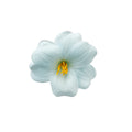 Foam Lily Flower Duckbill Hair Clip Pink White Blue view 5