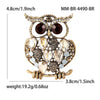 Brown Owl