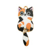 Orange Cat 1