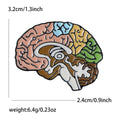 Colorful Anatomical Brain Brooch With Polished Metal And Sculpted Decorative Details view 4