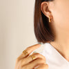 Gold Point Triangle