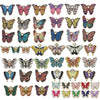 Assorted 52-Pack