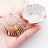 White Shell